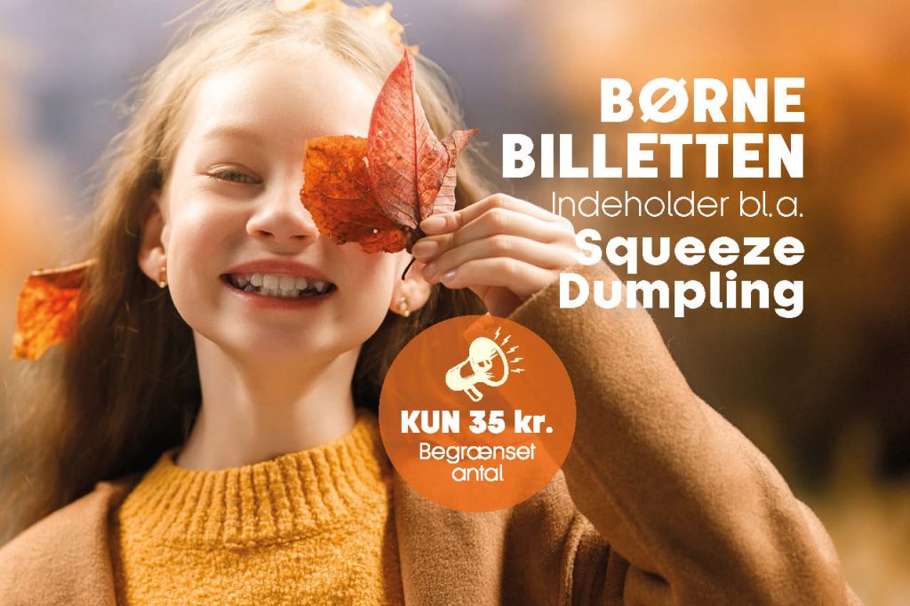 EFTERÅRSFERIE BØRNEBILLET